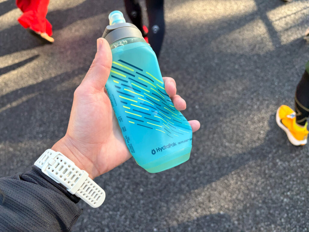 第20回 湘南国際マラソン大会レポ|31らん(さいらん)