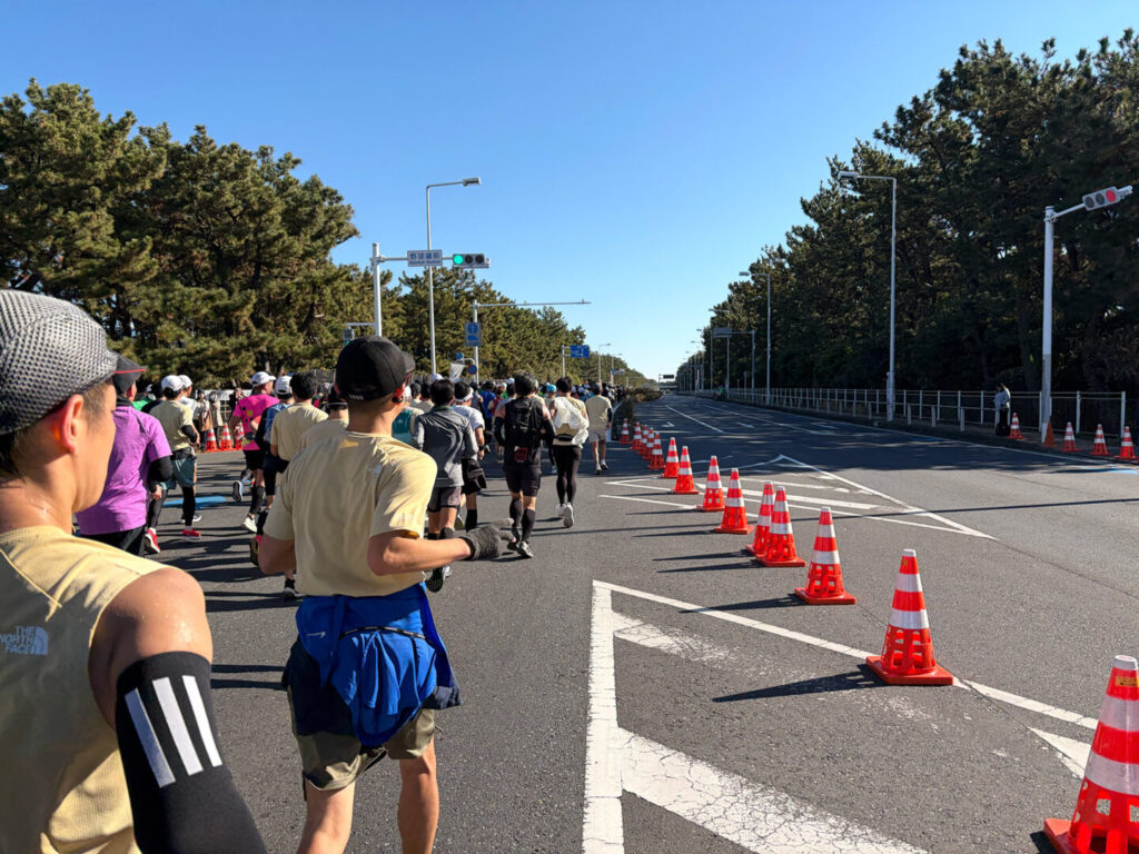 第20回 湘南国際マラソン大会レポ|31らん(さいらん)