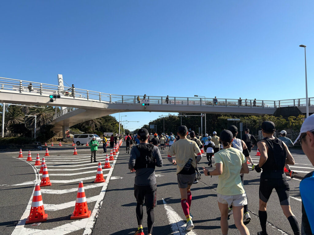 第20回 湘南国際マラソン大会レポ|31らん(さいらん)