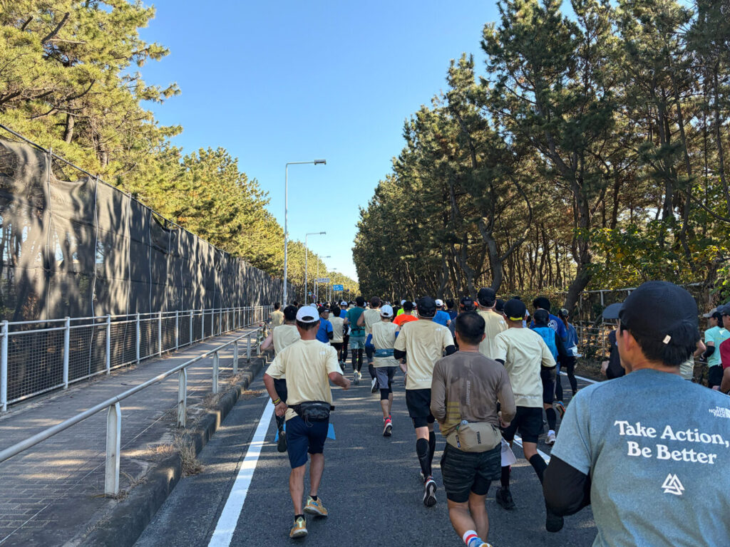 第20回 湘南国際マラソン大会レポ|31らん(さいらん)