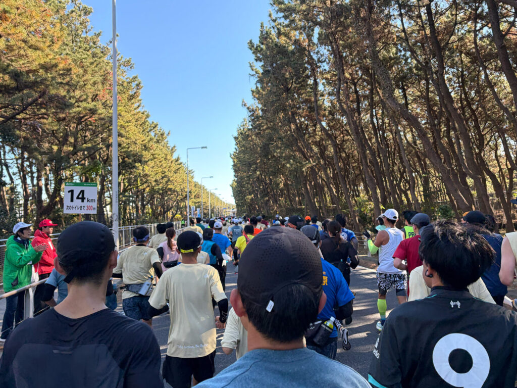 第20回 湘南国際マラソン大会レポ|31らん(さいらん)