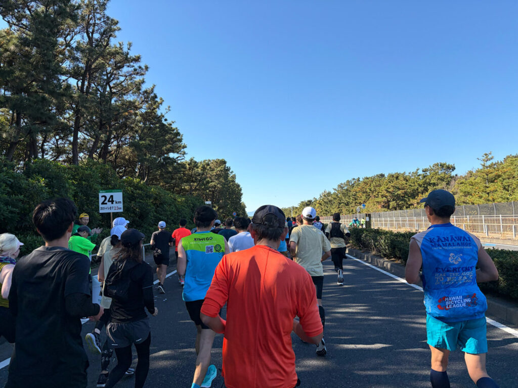 第20回 湘南国際マラソン大会レポ|31らん(さいらん)