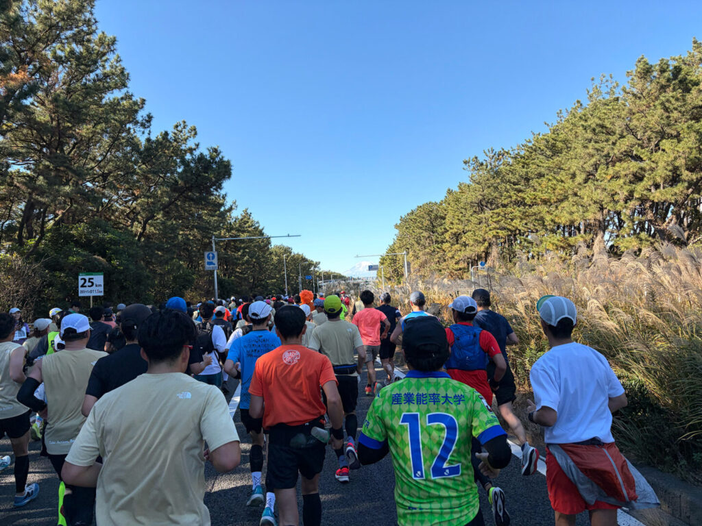 第20回 湘南国際マラソン大会レポ|31らん(さいらん)