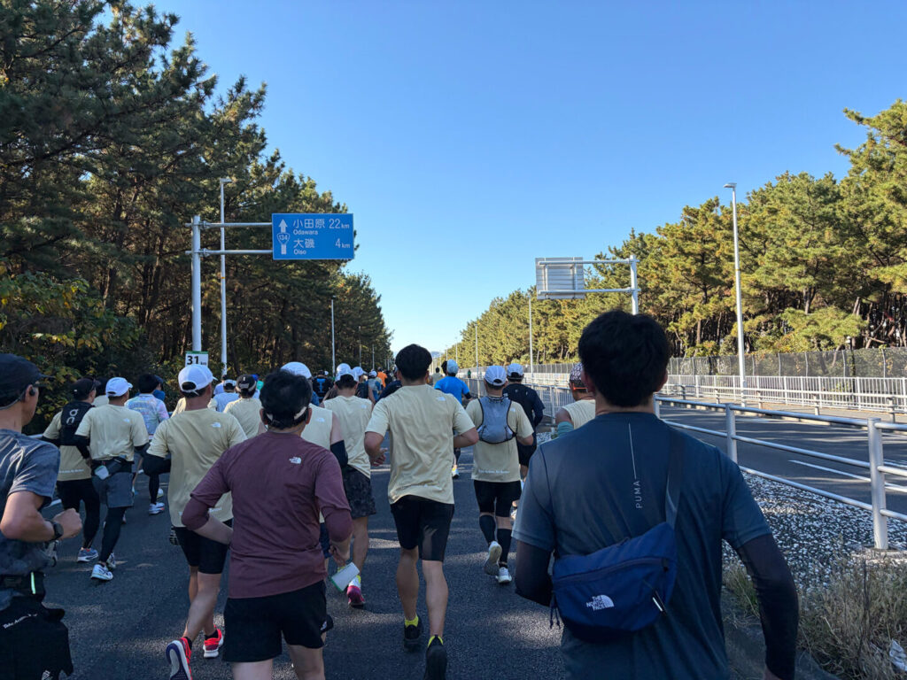 第20回 湘南国際マラソン大会レポ|31らん(さいらん)