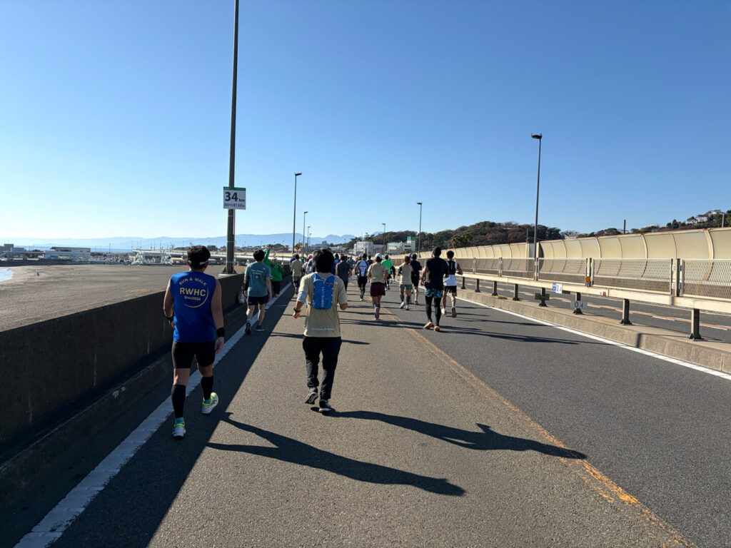 第20回 湘南国際マラソン大会レポ|31らん(さいらん)