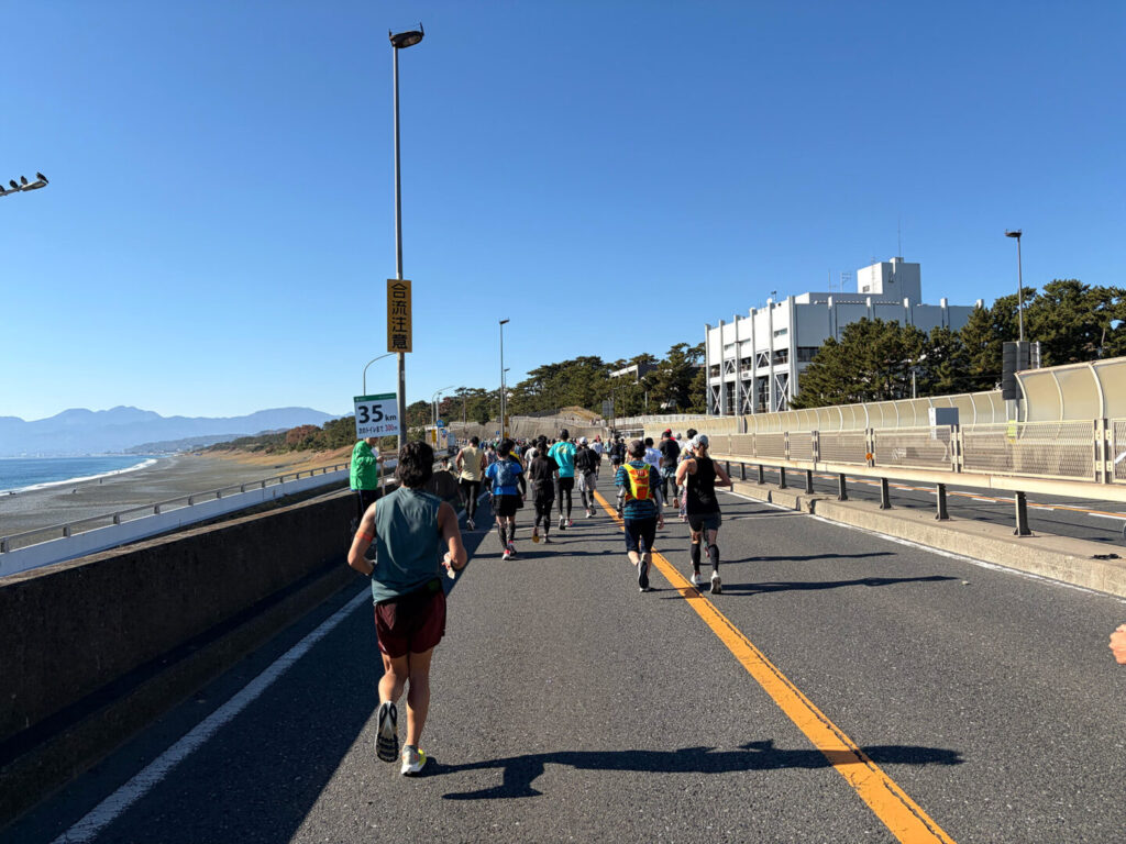 第20回 湘南国際マラソン大会レポ|31らん(さいらん)