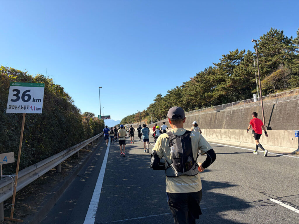 第20回 湘南国際マラソン大会レポ|31らん(さいらん)