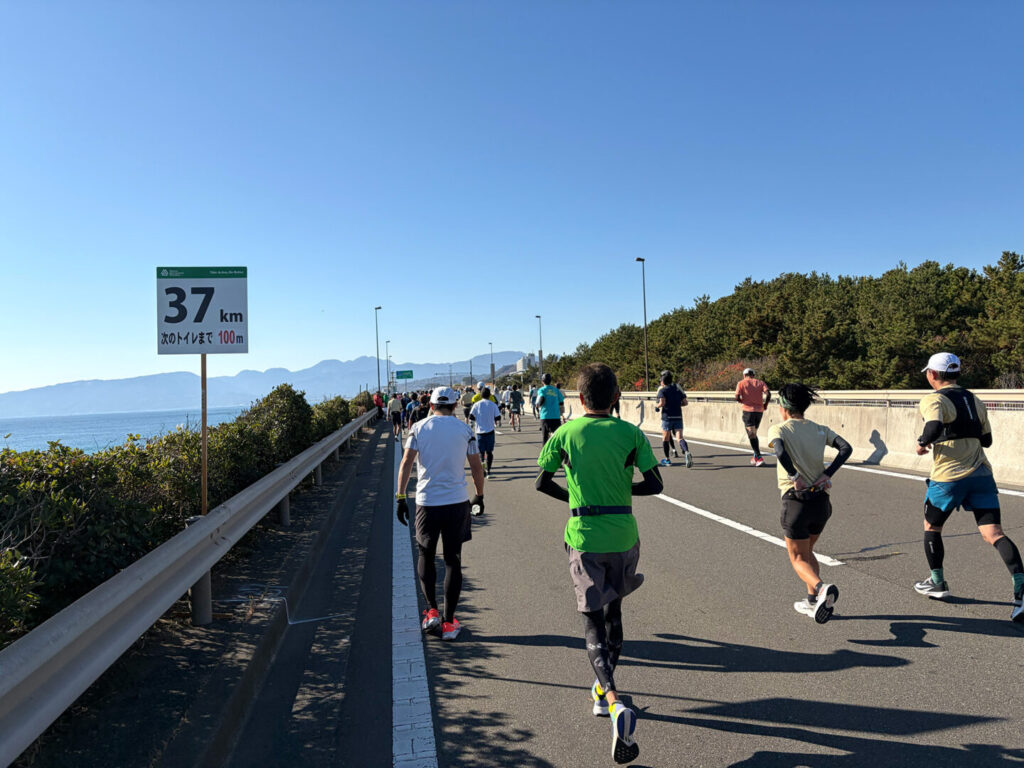 第20回 湘南国際マラソン大会レポ|31らん(さいらん)