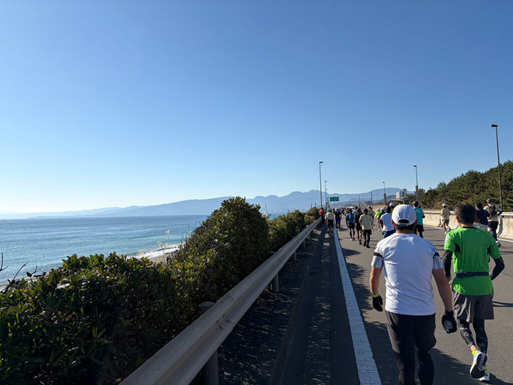 第20回 湘南国際マラソン大会レポ|31らん(さいらん)
