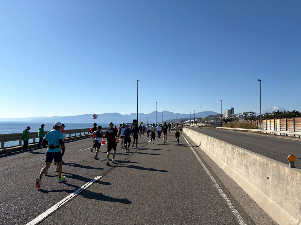 第20回 湘南国際マラソン大会レポ|31らん(さいらん)