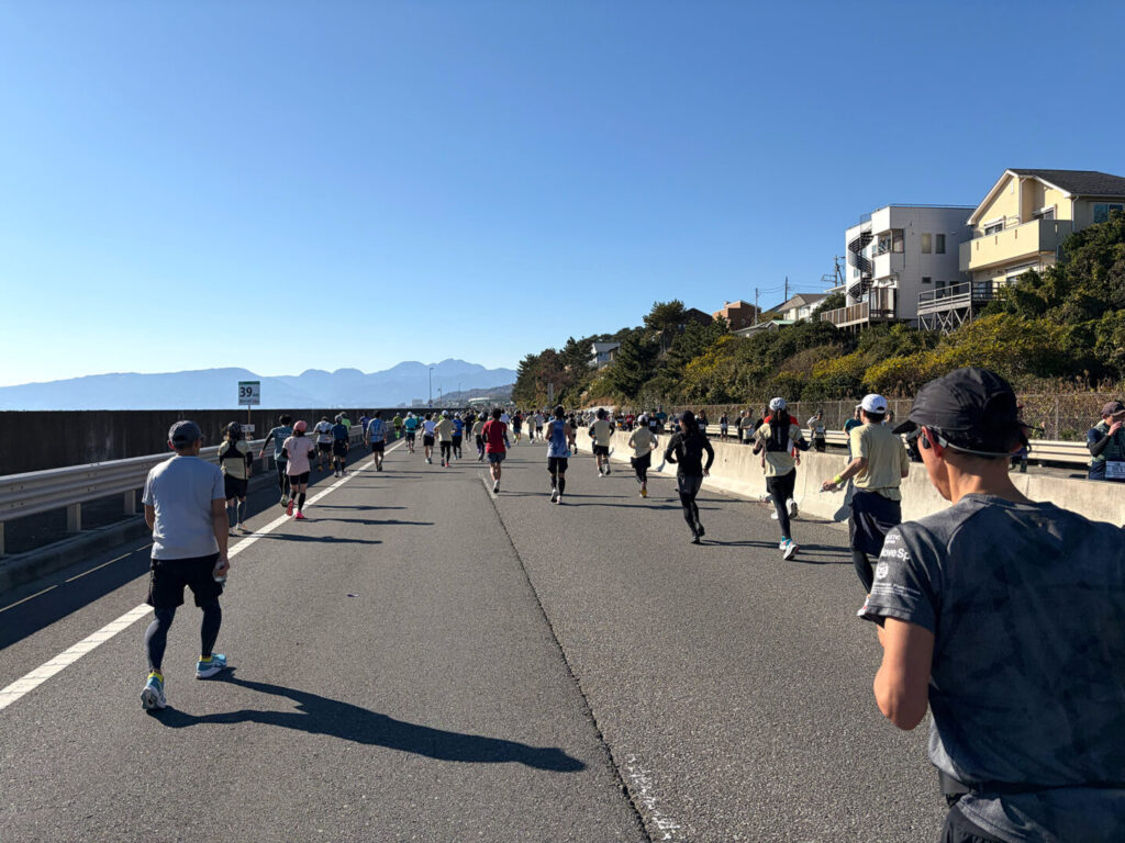 第20回 湘南国際マラソン大会レポ|31らん(さいらん)