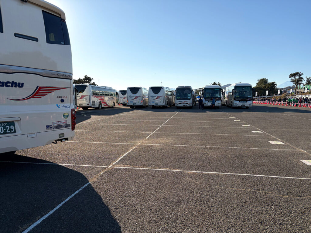 第20回 湘南国際マラソン大会レポ|31らん(さいらん)