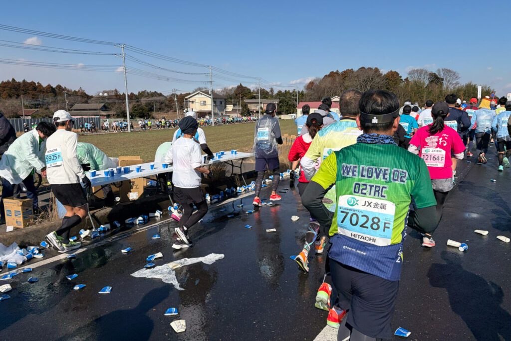 第73回勝田全国マラソン_31らん（さいらん）_レビュー