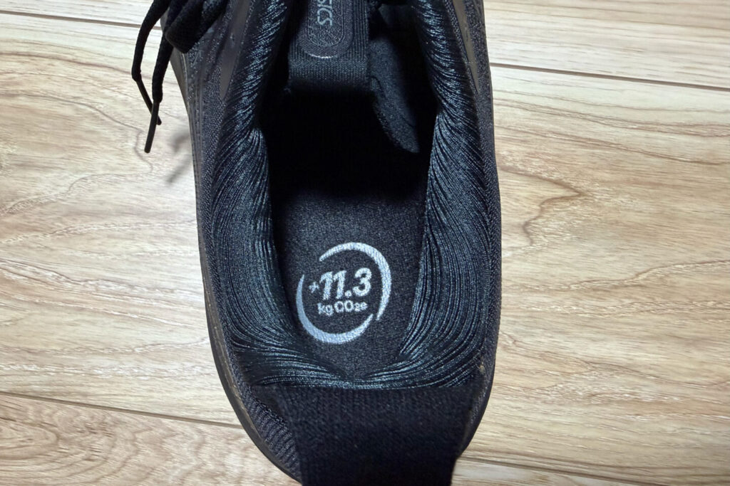 GEL-KAYANO 33レビュー｜31らん（さいらん）